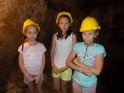 DSCN1317 DSCN1317